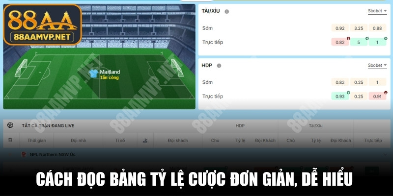 Cách đọc bảng tỷ lệ cược đơn giản, dễ hiểu cho mọi người chơi