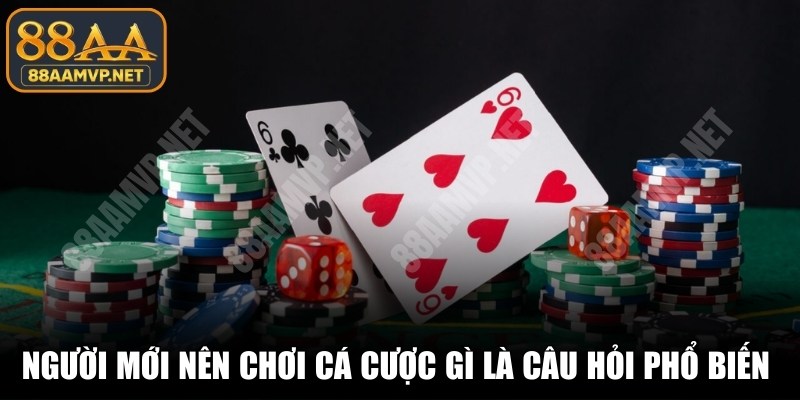 Người mới nên chơi cá cược gì là câu hỏi phổ biến hiện nay